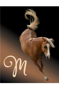 Horse Initial 'm' Monogram Notebook