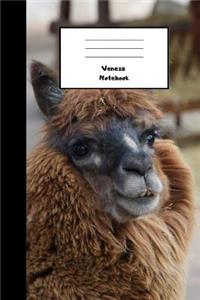 Veneza Notebook