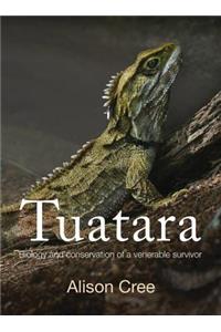 Tuatara