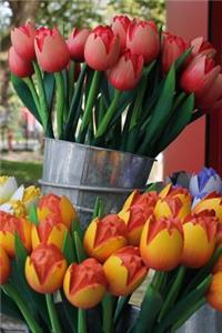 Buckets of Tulips in Amsterdam Holland Journal