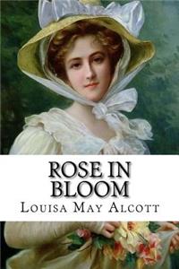 Rose in Bloom