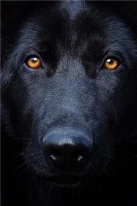 Look Into Their Eyes And You Can See Your Soul Notebook