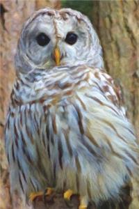 Stare Of An Owl - Lined Notebook with Margins