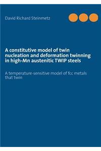 Constitutive Model of Twin Nucleation and Deformation Twinning in High-MN Austenitic Twip Steels