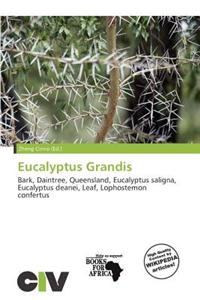 Eucalyptus Grandis