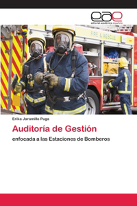 Auditoría de Gestión