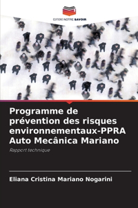 Programme de prévention des risques environnementaux-PPRA Auto Mecânica Mariano