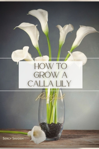 How to Grow a Calla Lily