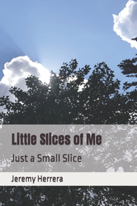 Little Slices of Me: Just a Small Slice