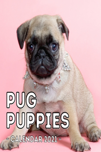Pug Puppies Calendar 2021