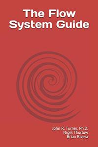 Flow System Guide