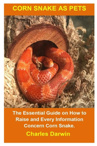 Corn Snake As Pets