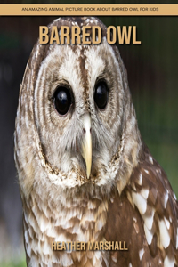 Barred Owl