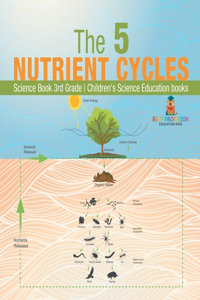 5 Nutrient Cycles - Science Book 3rd Grade Children's Science Education books