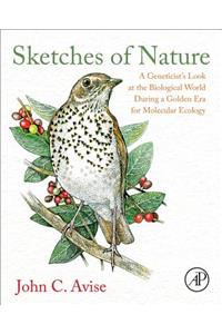 Sketches of Nature