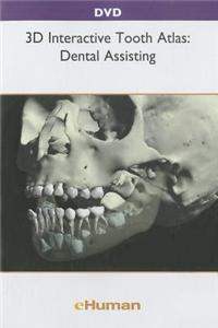 3d Interactive Tooth Atlas