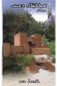 Fragments of my Being