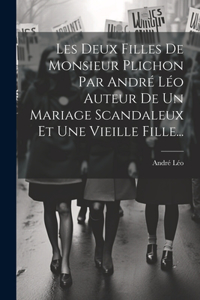 Les Deux Filles De Monsieur Plichon Par André Léo Auteur De Un Mariage Scandaleux Et Une Vieille Fille...