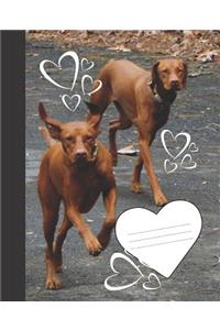 Cute Hearts & Funny Floppy Eared Hound Dogs Blank Wide-ruled Lined School Composition Notebook