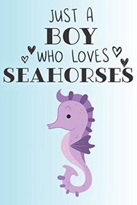 Just A Boy Who Loves Seahorses