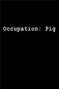 Occupation