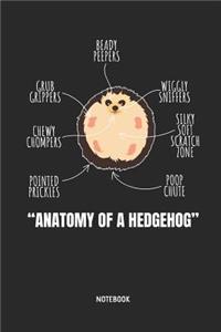 Anatomy of a Hedgehog Notebook