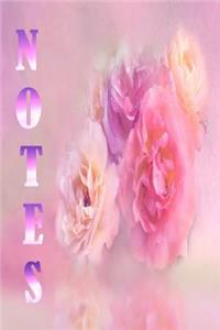 Notes