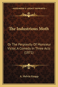 Industrious Moth