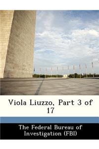 Viola Liuzzo, Part 3 of 17