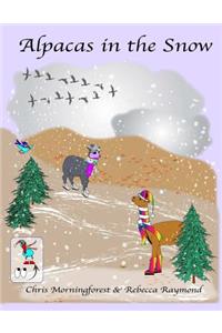 Alpacas in the Snow