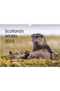 Scotland's Wildlife 2018 2018