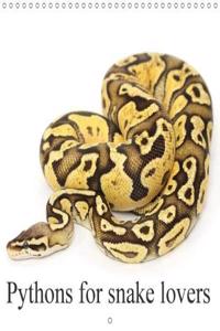 Pythons for Snake Lovers 2018