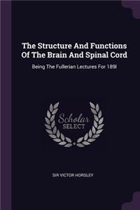 Structure And Functions Of The Brain And Spinal Cord