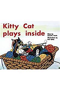Kitty Cat Plays Inside