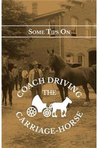 Some Tips on Coach Driving - The Carriage-Horse