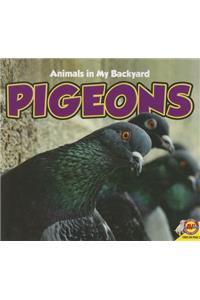 Pigeons