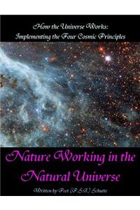 How the Universe Works