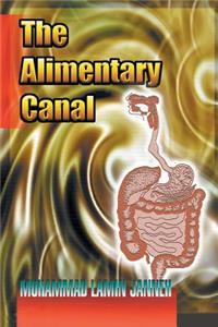 Alimentary Canal