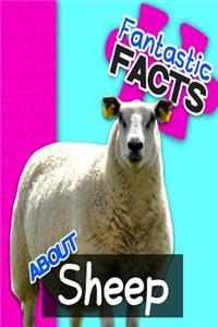 Fantastic Facts about Sheep