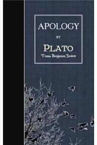 Apology