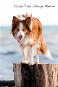 Border Collie February Notebook Border Collie Record, Log, Diary, Special Memories, To Do List, Academic Notepad, Scrapbook & More