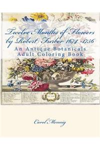 Twelve Months of Flowers by Robert Furber 1674 -1756