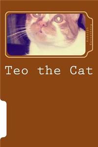 Teo the Cat