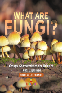 What Are Fungi? Groups, Characteristics and Roles of Fungi Explained Grade 6-8 Life Science