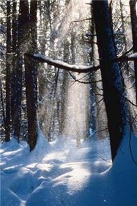 Winter Theme Journal Sun On Snow