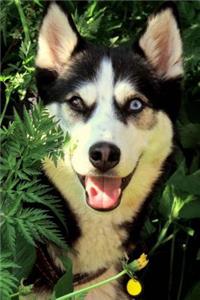 Happy Smiling Siberian Husky Dog Pet Journal