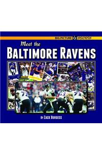 Meet the Baltimore Ravens