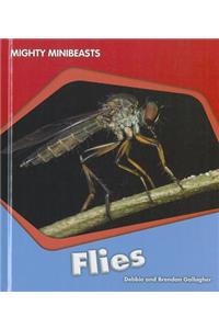 Flies