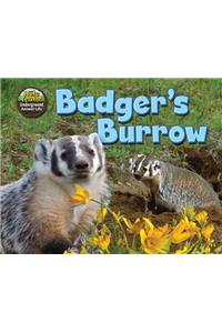 Badger's Burrow