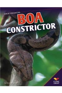 Boa Constrictor